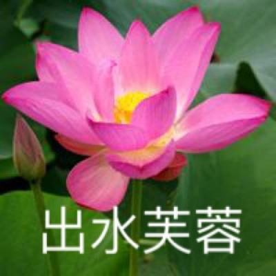 马力欧卡丁车8豪华版